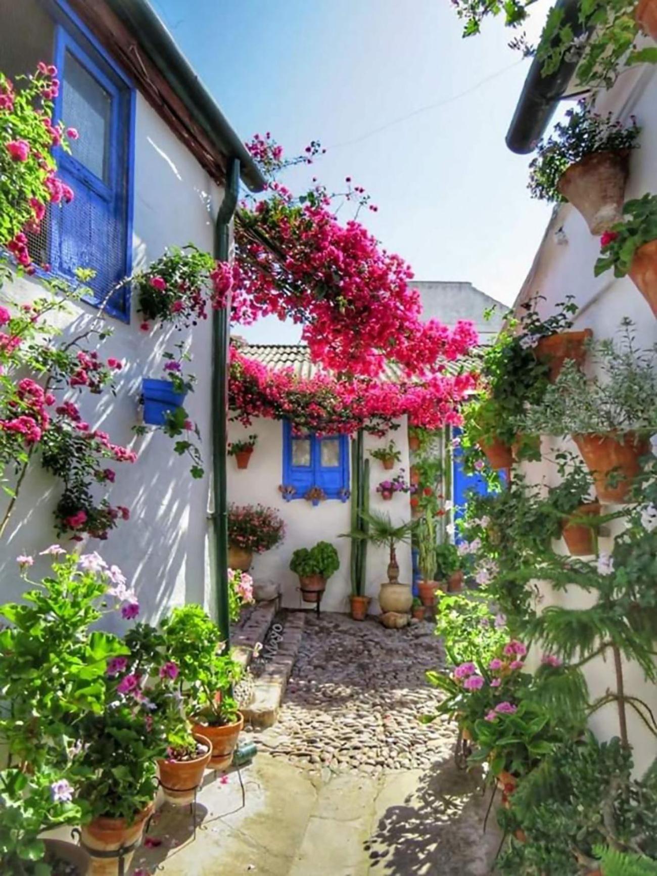 Nieves Viejas Los Patios Córdoba Exteriör bild