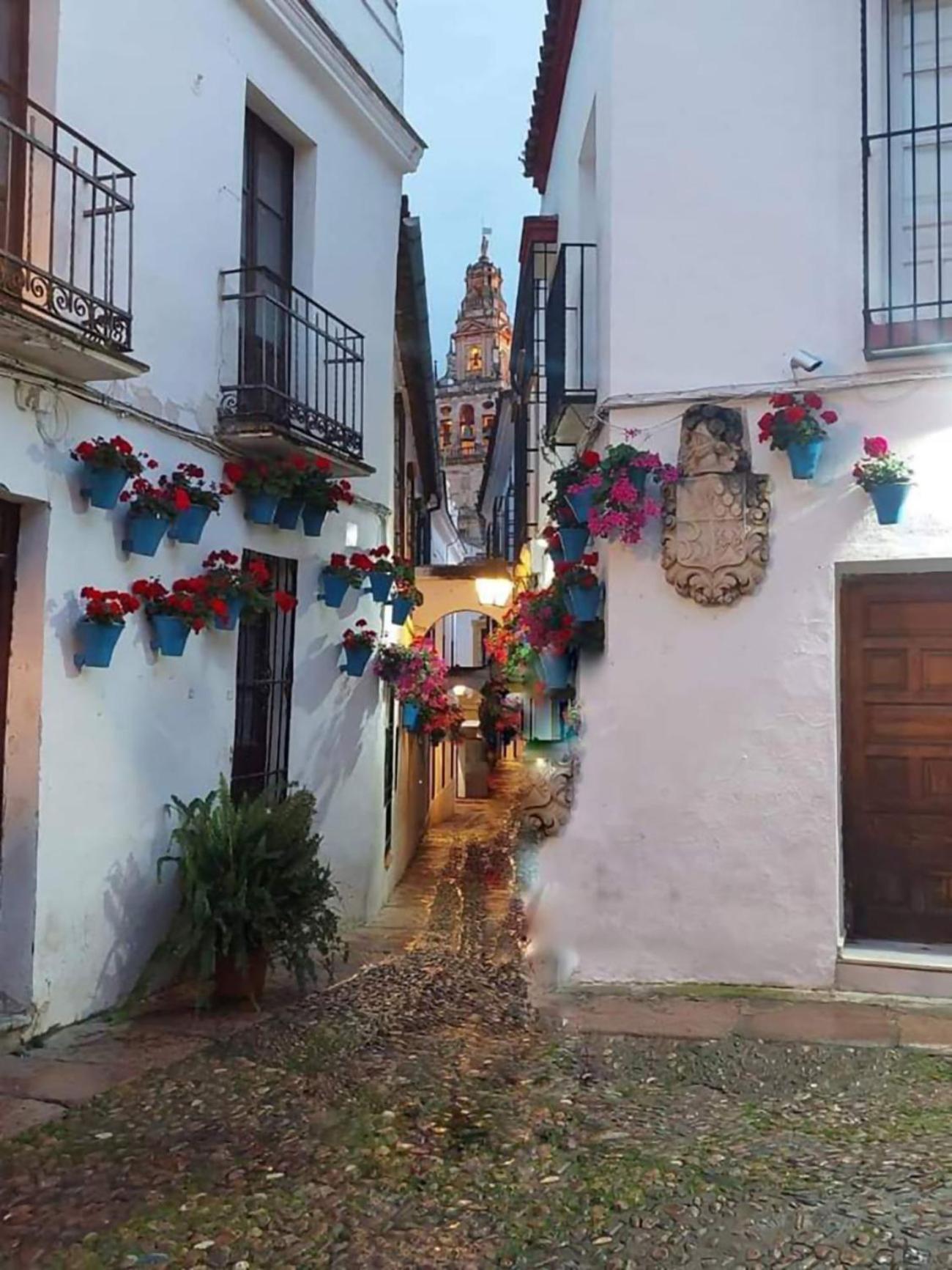 Nieves Viejas Los Patios Córdoba Exteriör bild