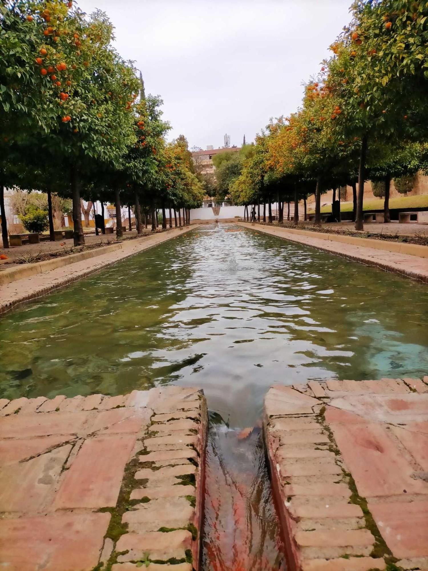 Nieves Viejas Los Patios Córdoba Exteriör bild